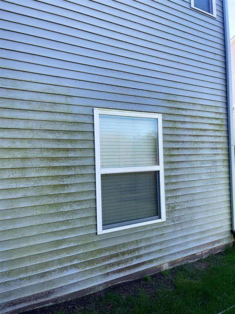 Before: grey vinyl siding with green streaks below a window